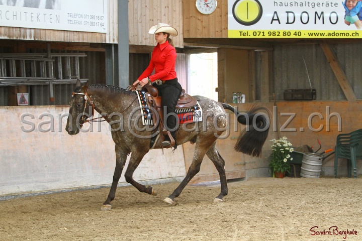 32-ApHC OWP_025.jpg